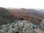 IMG_20211103_080747.jpg