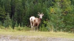 IMG_20140902_090937.jpg