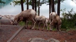 IMG_20140902_093350.jpg