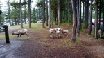 IMG_20140902_111606.jpg